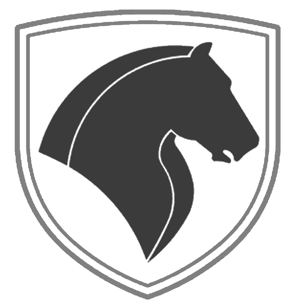 بهار آفاق شهر 10 ایران خودرو دیزل